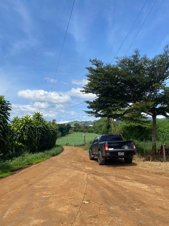 Đất nền Tân Thành, Đức Trọng 1020m² giá 779 triệu - Cắt lỗ nhanh!