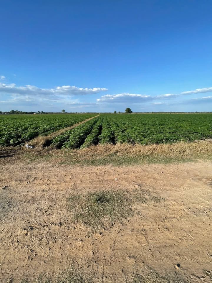 Đất nền Phước Ninh, Dương Minh Châu 3.039m² giá 850 triệu - Cơ hội đầu tư hấp dẫn!