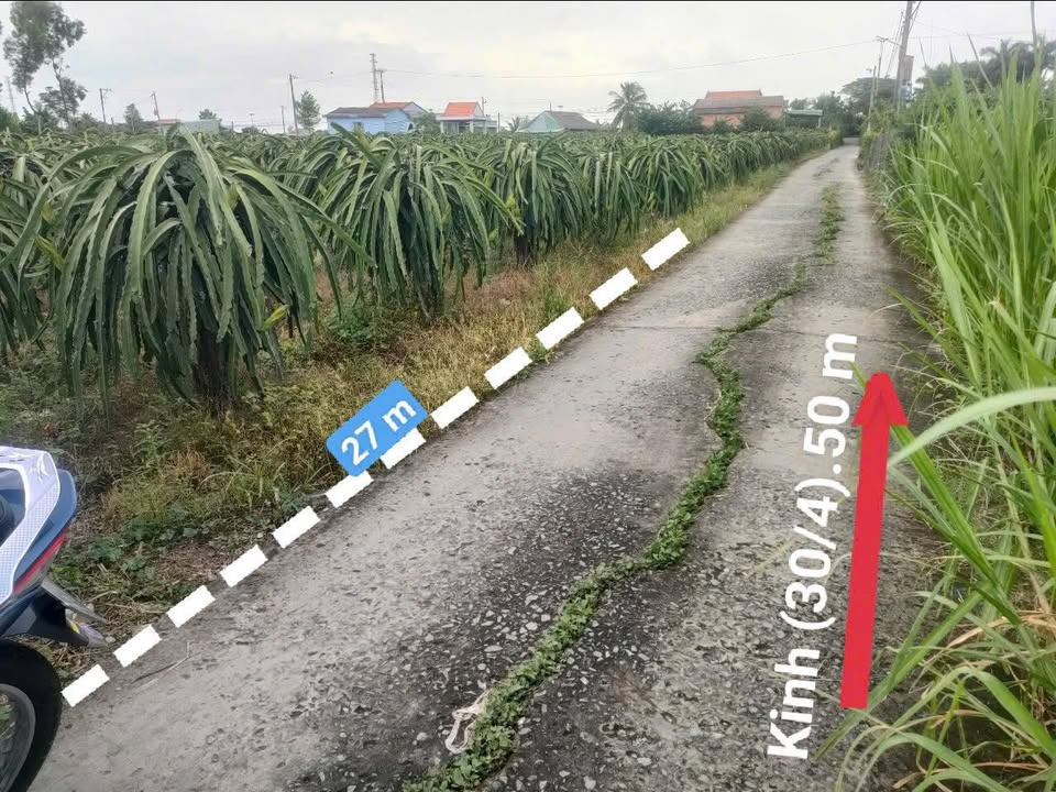 Đất thổ cư An Lục Long, Châu Thành, 300m² giá 700 triệu - Đầu tư sinh lời lý tưởng!