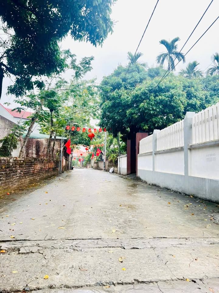 Đất nền Dân Tiến - Khoái Châu 100m² giá 4.5 tỷ - Đầu tư sinh lời cao!