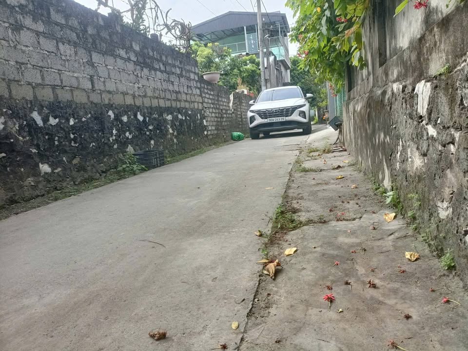 Nhà riêng xã Thanh Long, huyện Yên Mỹ 64m² giá 600 triệu - Sẵn sàng vào ở ngay!