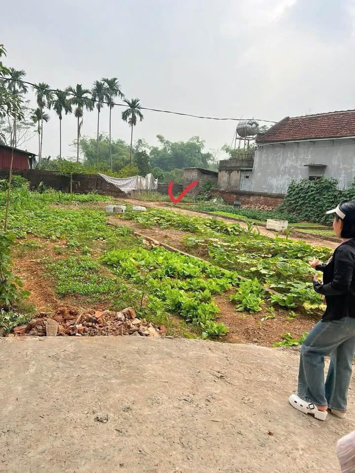 Lô đất 41m² tại xã Phúc Hòa, giá chỉ 700 triệu - Cơ hội vàng cho nhà đầu tư!