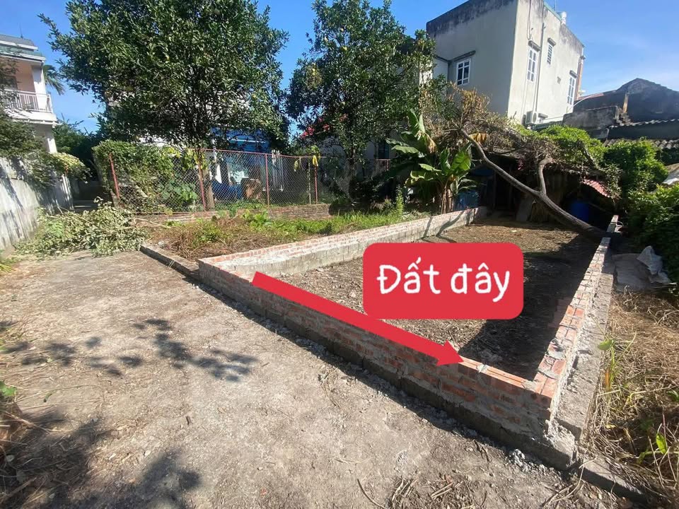 Nhà đẹp Tam Hưng 50m² giá 3 tỷ - Bán gấp trước Tết!