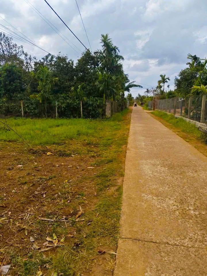 Đất nền Cư Elang, Ea Kar 175m² giá 4xx triệu - Bán gấp trước Tết!