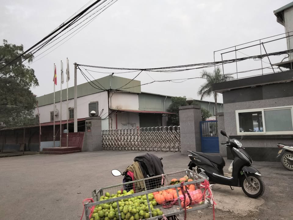 Đất nền Tỉnh lộ 294, Huyện Tân Yên, 192m² giá 2 tỷ - Cơ hội đầu tư hấp dẫn!