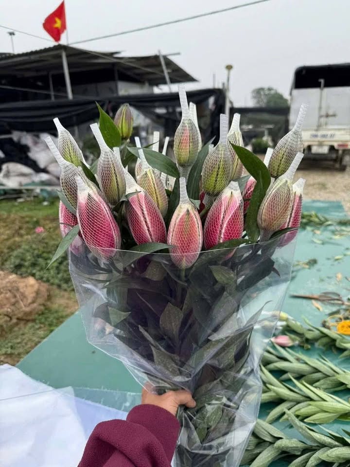 Phòng cho thuê đầy đủ nội thất tại Lĩnh Nam, 2.7 triệu - Không chung chủ!