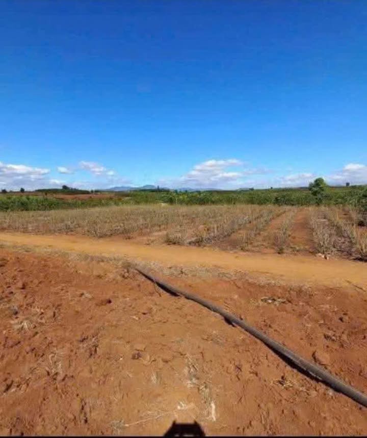 Đất nền 5760m² tại xã Tân Hội, huyện Đức Trọng - Giá 850 triệu, mặt tiền 30m