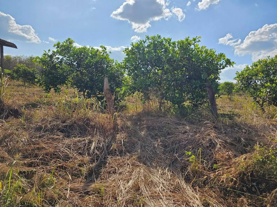 Đất nền 1440m² tại Ấp 5, Xã Thanh Hòa, giá 850 triệu - Sổ đỏ chính chủ!