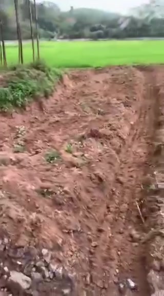 Đất nông nghiệp 3 sào tại Đông Sơn, Yên Thế - Bắc Giang giá 120 triệu - Cơ hội đầu tư hấp dẫn!