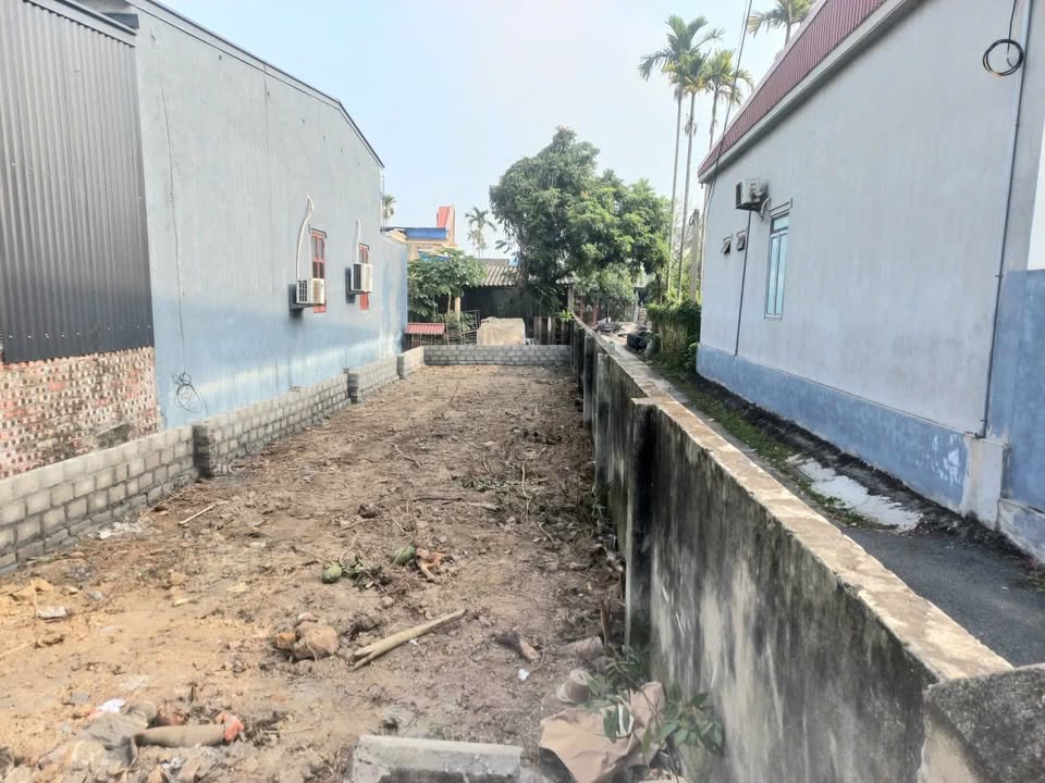 Đất lô góc 2 mặt đường Cẩm Hoàn, Thanh Sơn, 89.5m² - Sổ hồng chính chủ!