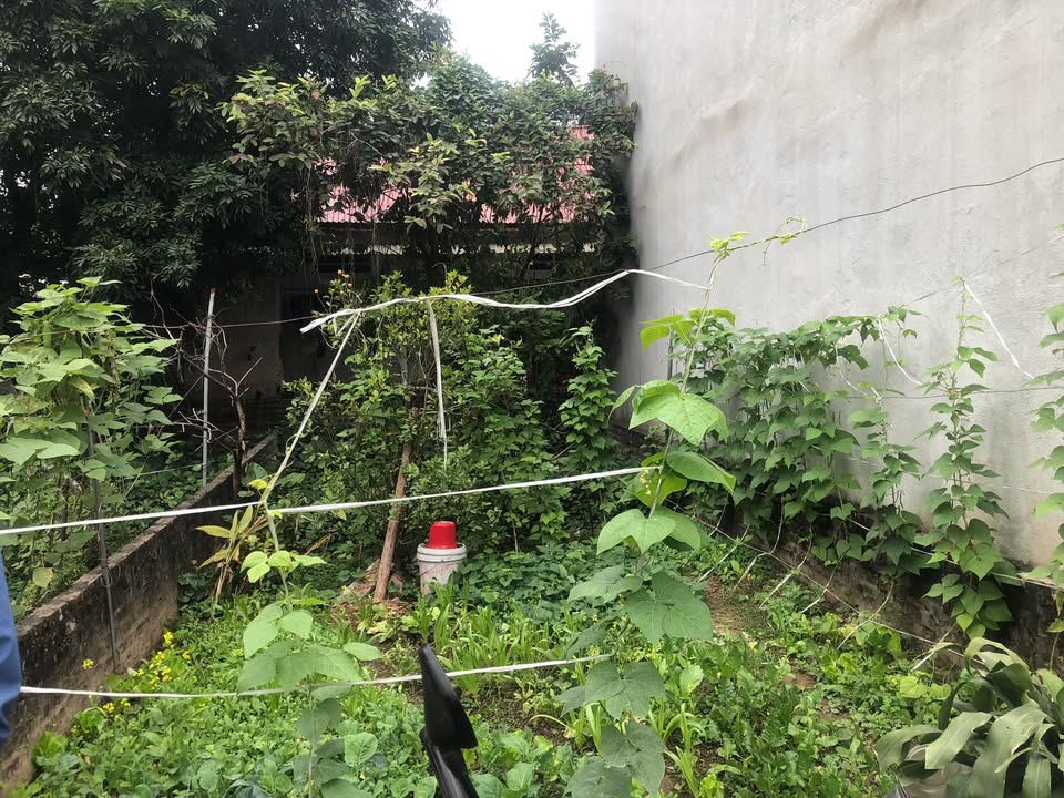 FrontHouse Hải Bối 40m² giá 3.6 tỷ - Sổ đỏ chính chủ, vị trí đắc địa!