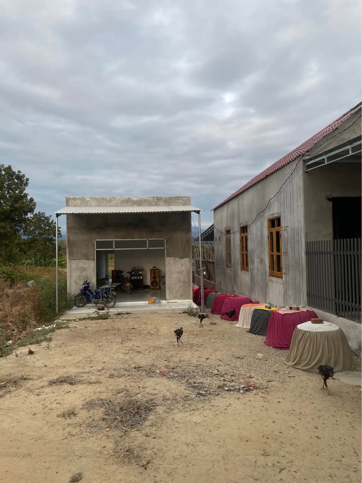 Đất thổ cư 150m² tại Thôn Tân Bình, Khánh Hòa - Giá chỉ 350 triệu