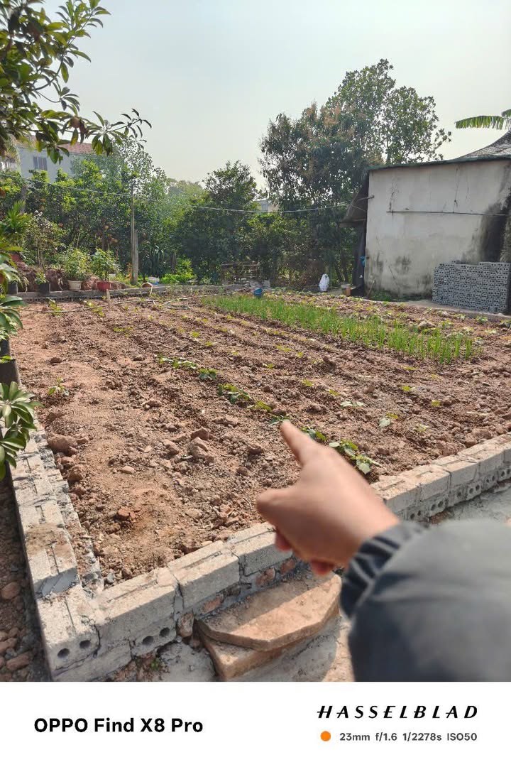 Đất góc 80m² tại xã Tự Nhiên, Thường Tín - Giá cực tốt chỉ 4 triệu/m²!