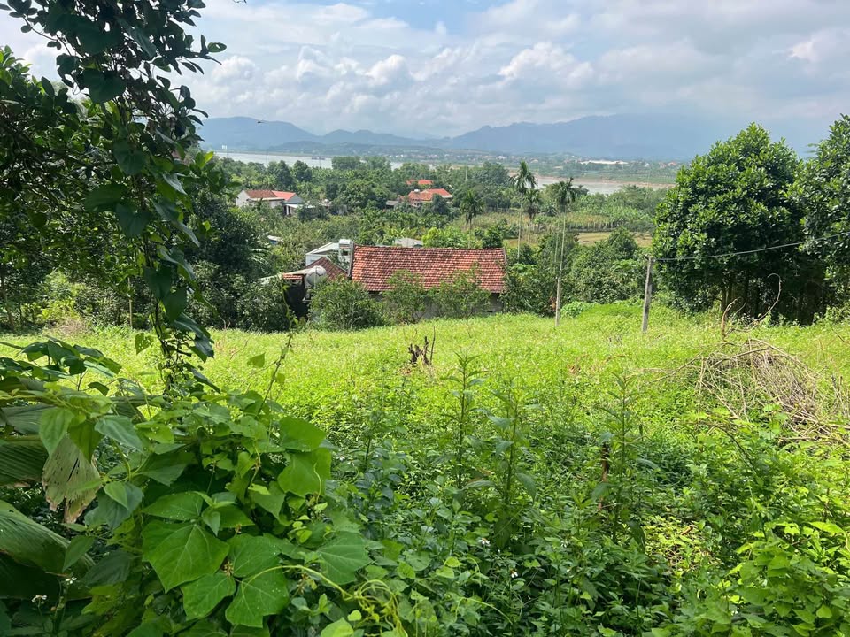 Đất nền Edulens Tây Mỗ 720m² giá thỏa thuận - Sổ đỏ chính chủ!