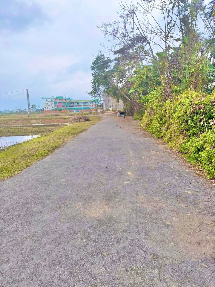 Đất nền Xóm 3 Đà Sơn 160m² giá chỉ 2 tỷ - Sổ đỏ chính chủ!