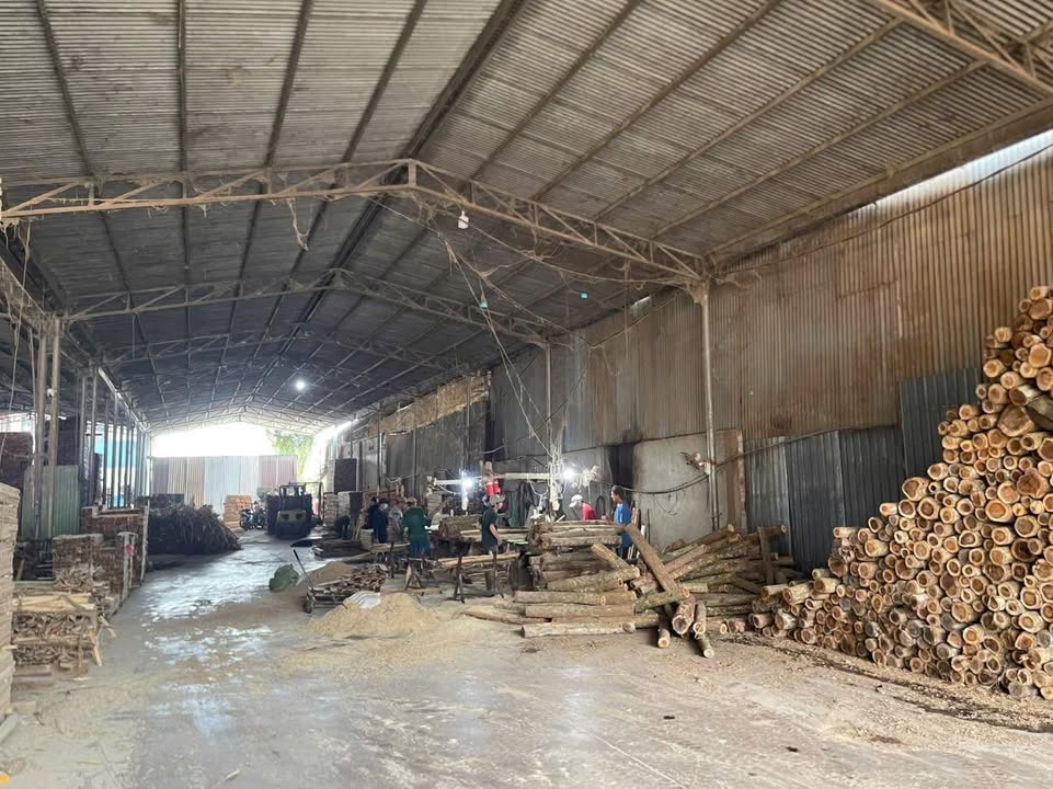 Xưởng cưa 790m² tại Phường Hố Nai, Biên Hòa - Giá tốt 7 tỷ VND!