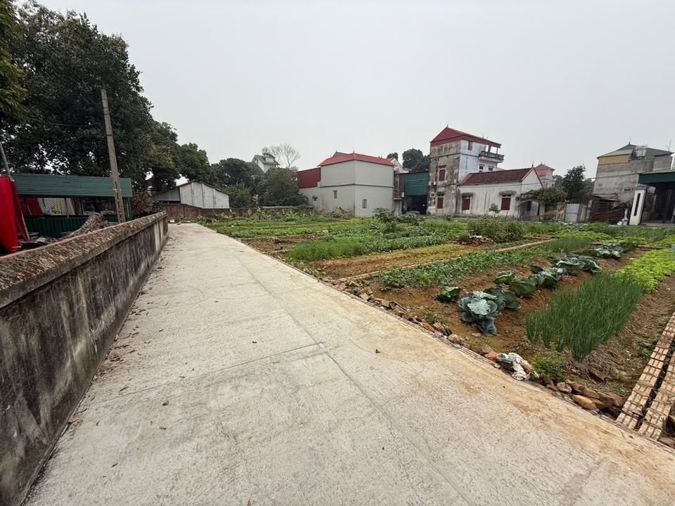 Đất nền Phường Ninh Xá, Thị xã Thuận Thành, 60.8m² giá 1 tỷ - Ô tô vào tận đất!