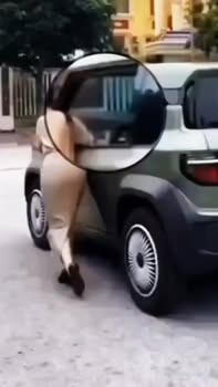 Đất thổ cư Hòa Sơn Lương Sơn 1400m² giá 4 tỷ - Đầu tư sinh lời ngay!