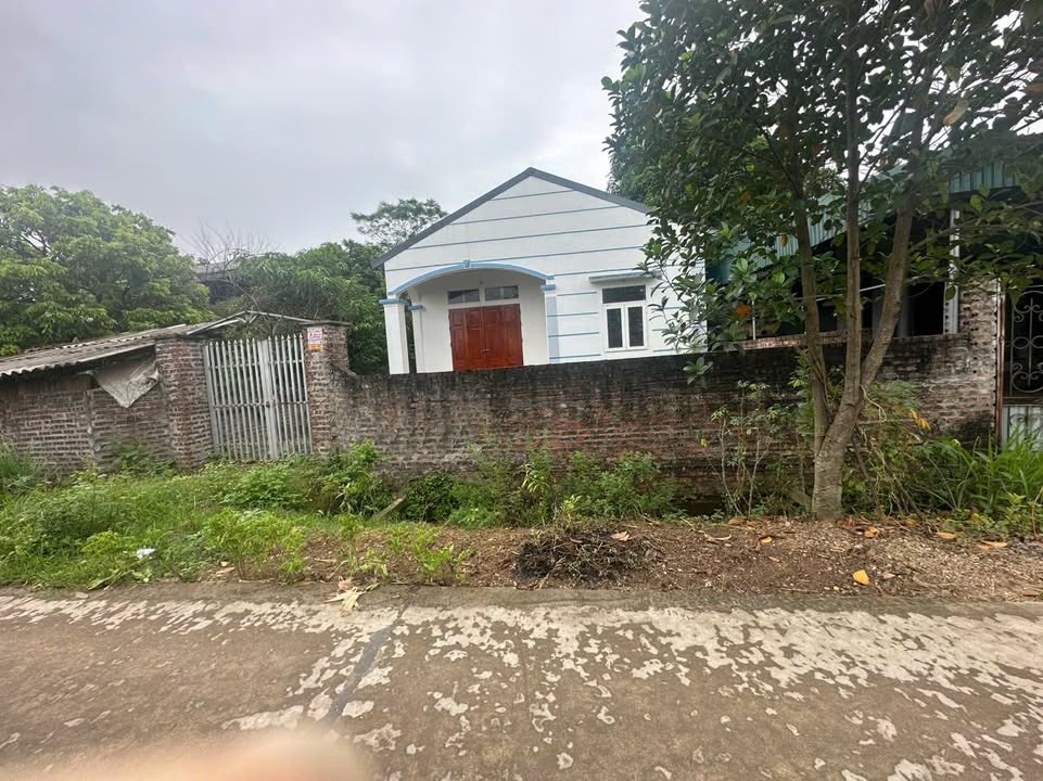 Đất nền Vĩnh Chân Hạ Hoà 274m² giá 799 triệu - Cơ hội đầu tư hấp dẫn!