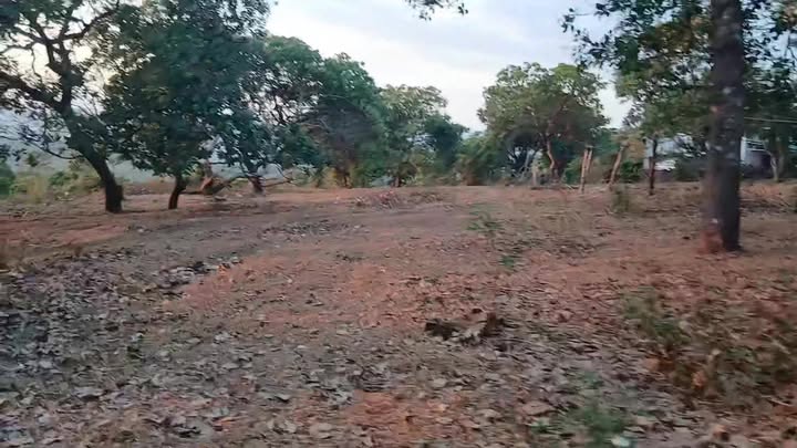 Đất nền Phú Sơn, Bù Đăng 1440m² giá 800 triệu - Cơ hội đầu tư không thể bỏ qua!