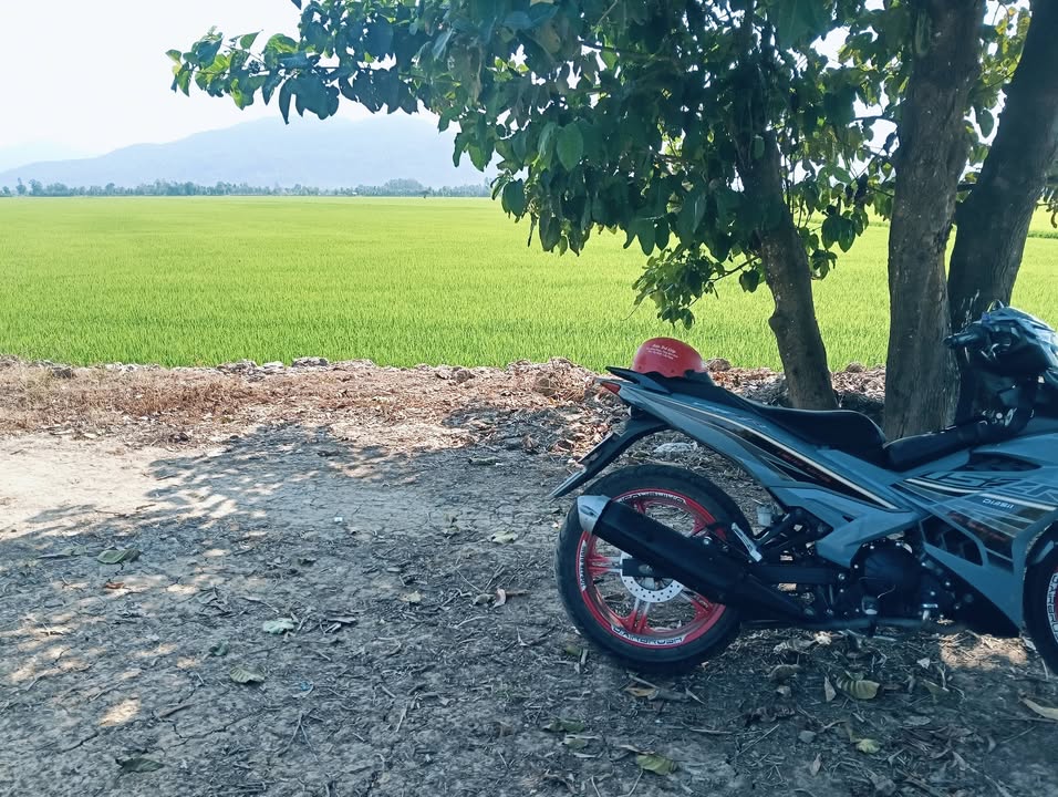 Đất ruộng 124.000m² tại Vĩnh Phước, Tri Tôn, An Giang - Cơ hội đầu tư hấp dẫn!