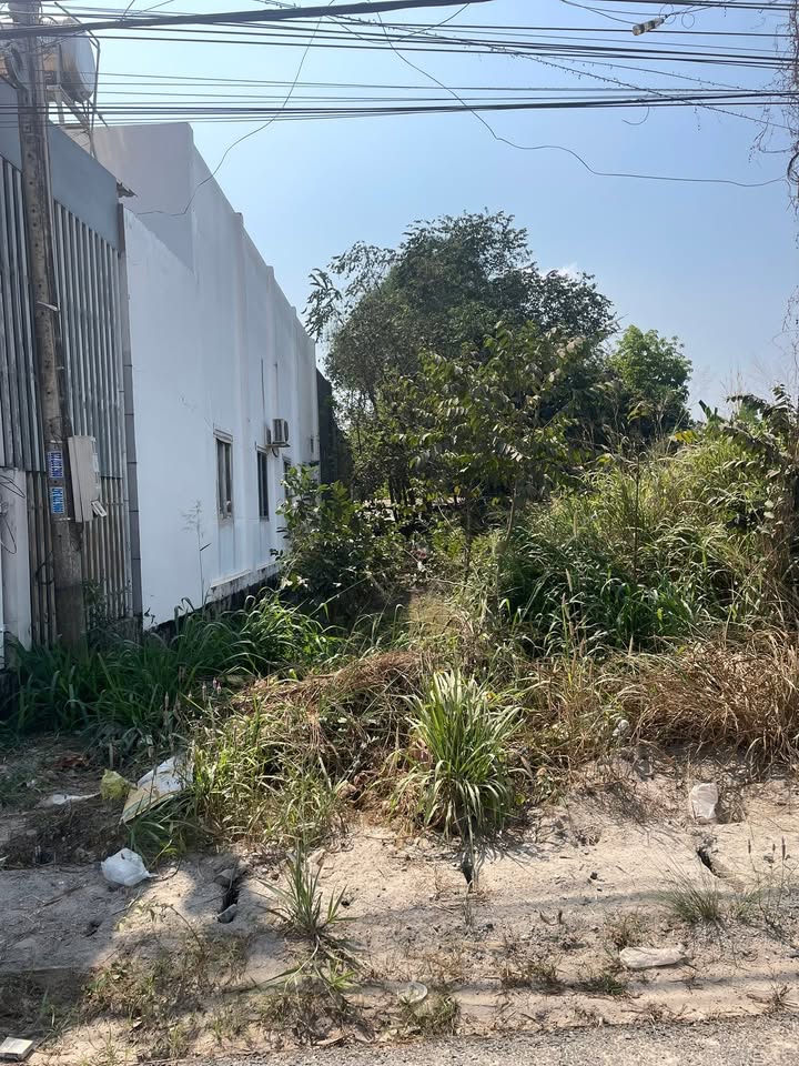 Đất mặt tiền đường nhựa lớn Hưng Thuận - Trảng Bàng 285m² giá 1.5 tỷ - Cơ hội đầu tư tốt!