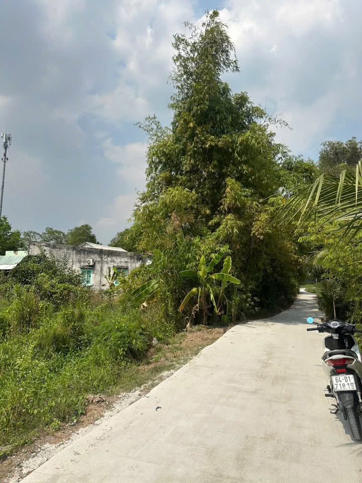 Đất thổ cư 205m² góc 2 mặt tiền đường xe hơi xã Tân Quý Tây giá 3.8 tỷ - Cơ hội đầu tư không thể bỏ lỡ!