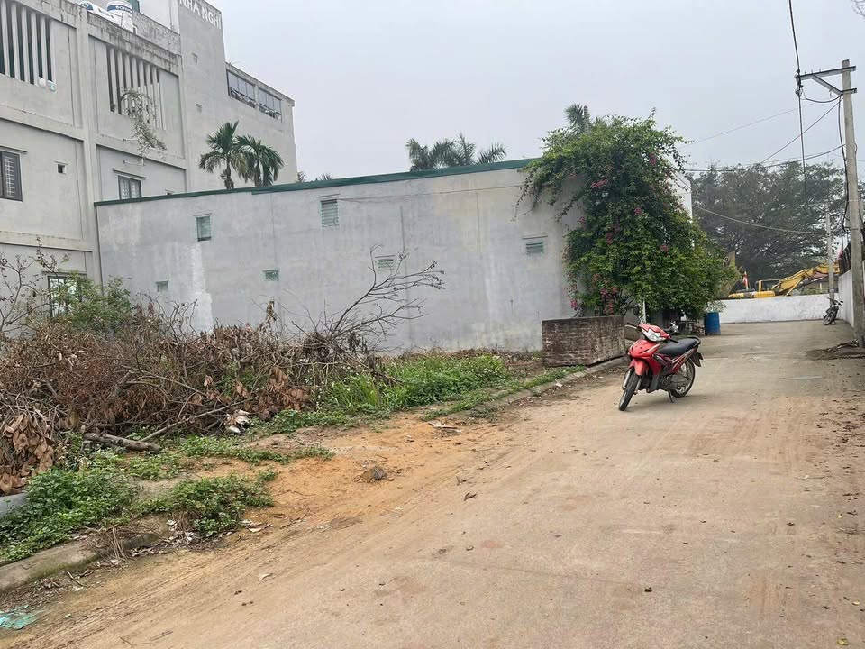 Đất nền xã Thanh Thùy, huyện Thanh Oai 77m² giá 6 tỷ - Đầu tư sinh lời ngay!