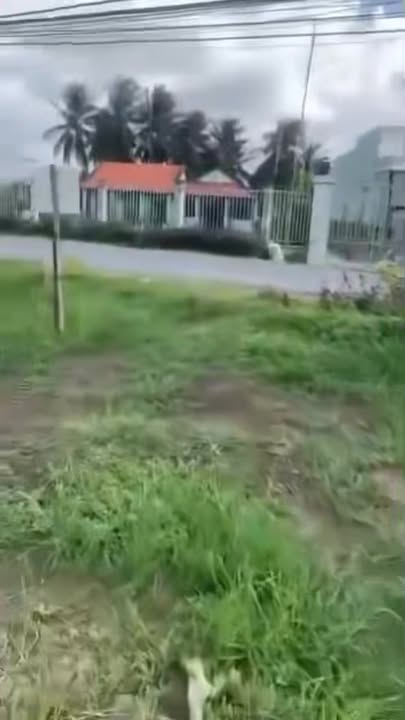 Đất mặt tiền đường DH13, xã Bình Phú, 500m² giá chỉ 1.5 tỷ - Cơ hội đầu tư tuyệt vời!