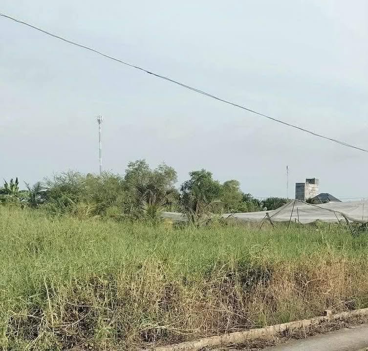 Đất thổ cư Tân Đông 918m² giá 540 triệu - Cơ hội đầu tư hấp dẫn!