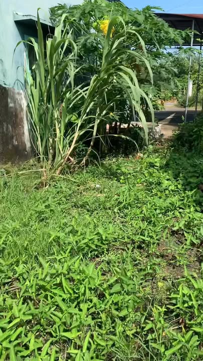 Nhà mặt tiền DH19, Xã Long Bình, 440m² giá 2.5 tỷ - Tiềm năng đầu tư lớn!