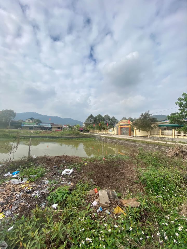 Đất thổ cư 338m² tại Quốc lộ 48E, Yên Thành - Cơ hội vàng cho nhà đầu tư!