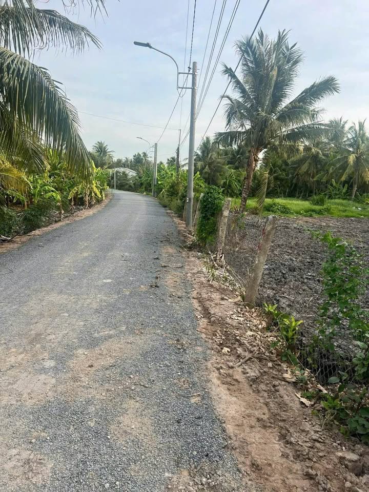 Đất nền Trương Văn Kỉnh, Trà Vinh 676m² - Giá chỉ 1.4 tỷ - Sổ hồng chính chủ!