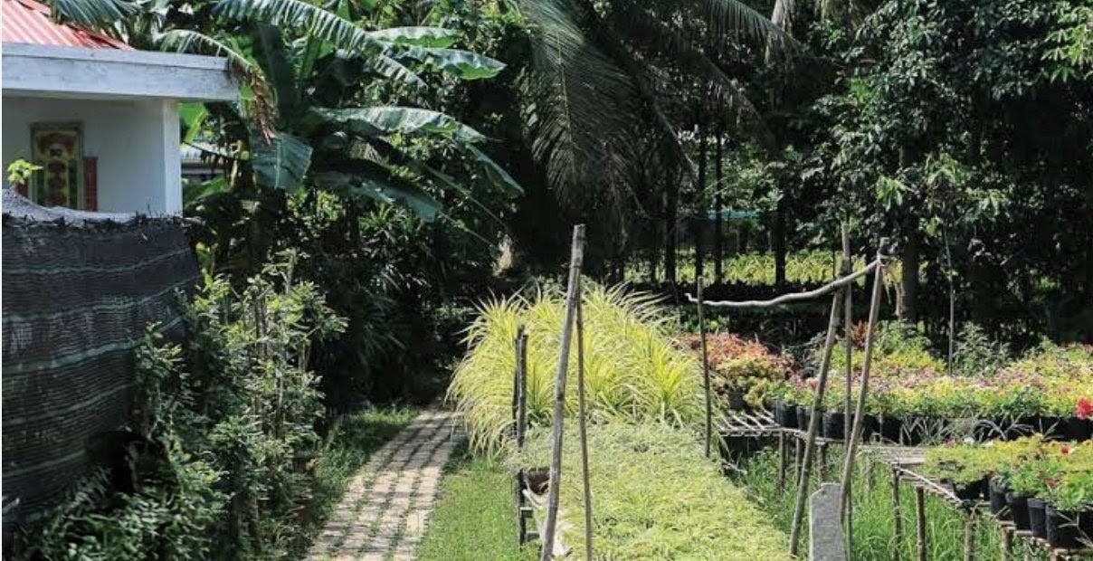 Đất thổ cư mặt tiền Đường Lộ Dal, Huyện Trần Đề, 1182m² chỉ 799 triệu - Cơ hội đầu tư tuyệt vời!