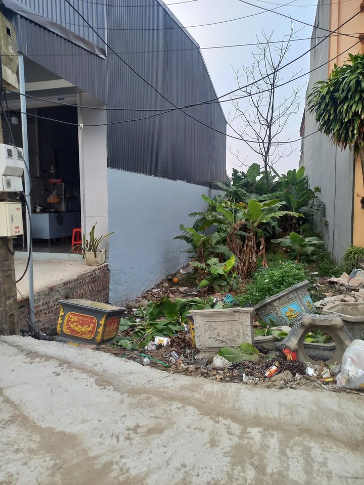 Đất Mặt Đường 392, Xã Cao An, Huyện Cẩm Giàng, 107m² - Kinh doanh sầm uất!