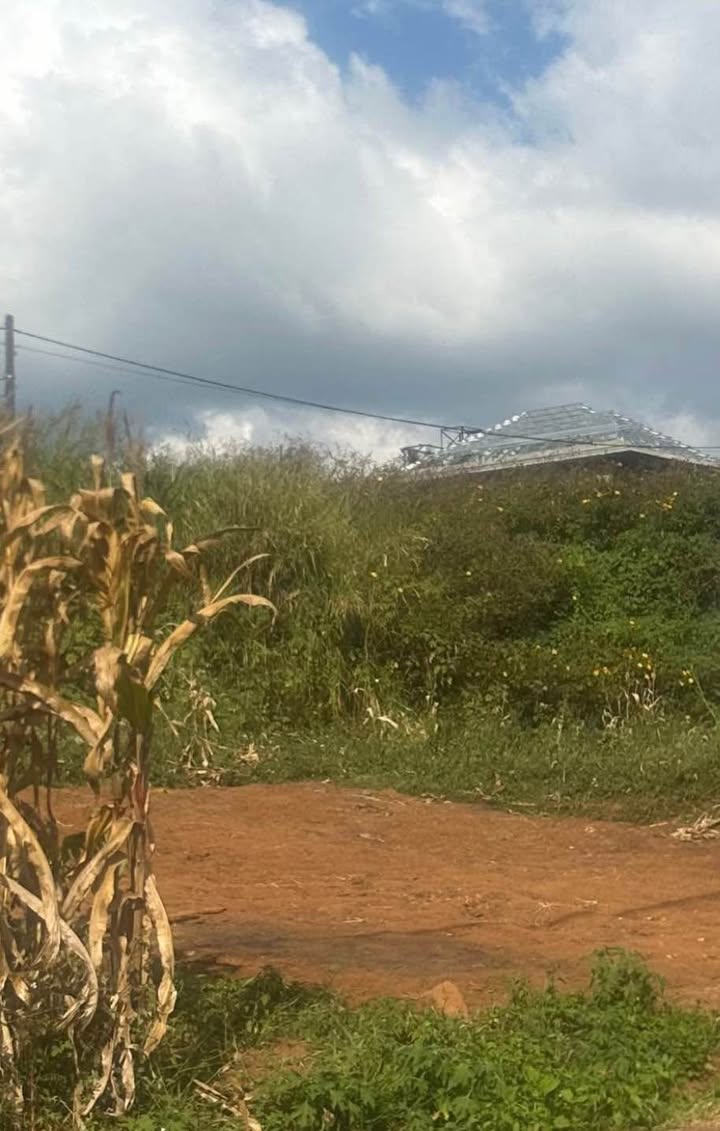 Đất thổ cư Trường Lái, Đà Lạt 280m² giá 2.45 tỷ - Đầu tư sinh lời ngay!