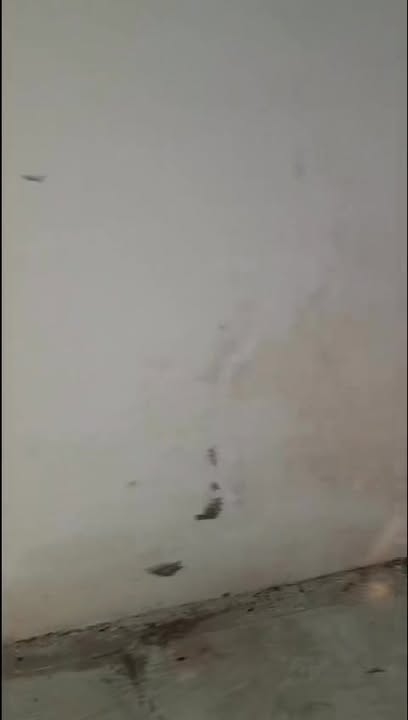 Cho thuê nhà xưởng 1000m² tại Phường Mỹ Xuân - Sẵn sàng kinh doanh ngay!