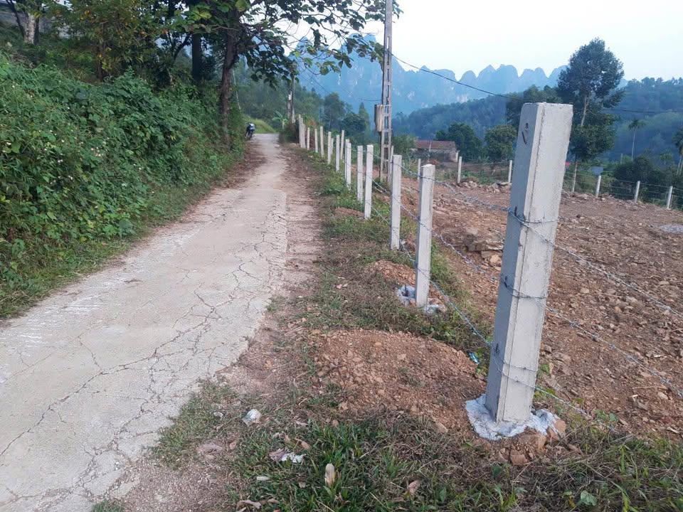 Đất nền Xóm Ngành, Phú Sơn 826m² giá chỉ 1 triệu/m² - Đầu tư lý tưởng!