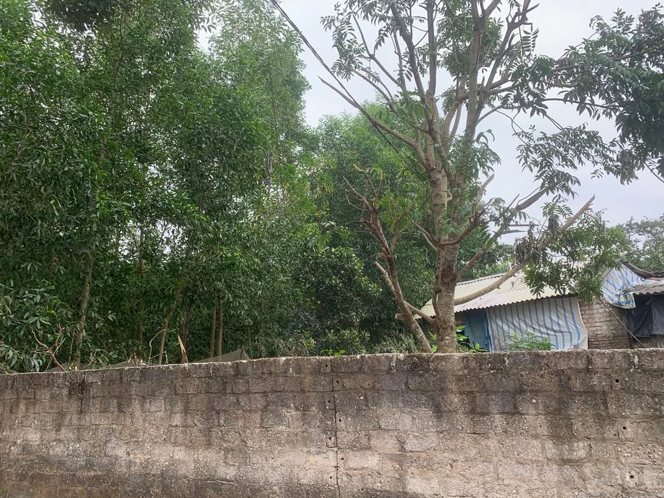 Đất nền Quận Hoàn Kiếm 170m² giá thỏa thuận - Tiềm năng đầu tư cao!