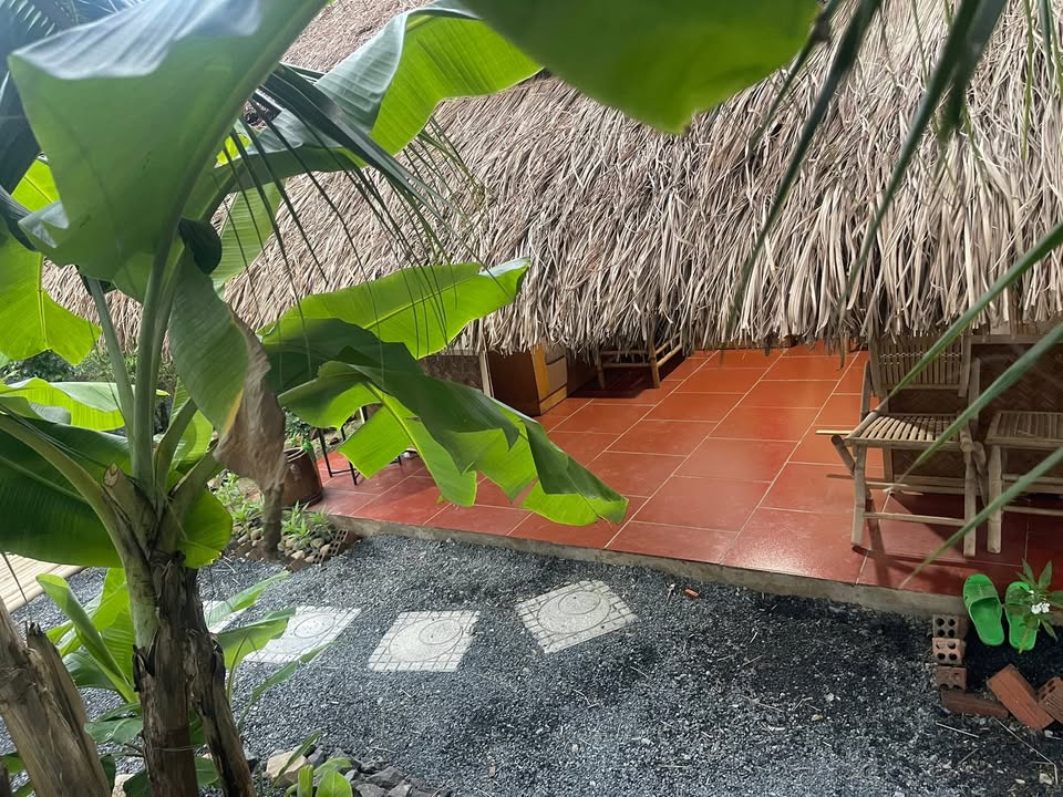 Đất vườn Suối Tiên 382m² giá 2.35 tỷ - View đồng xanh mát mẻ