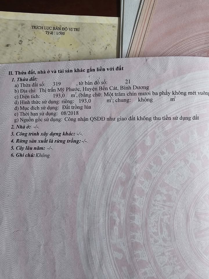 Đất nền Phường Mỹ Phước, Bến Cát 75m² giá 1 tỷ - Đầu tư sinh lời hấp dẫn!