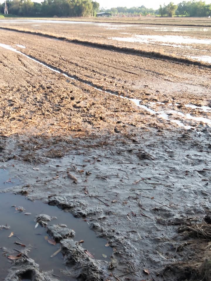 Đất nông nghiệp 10800m² tại Ấp Xóm Tộ, Huyện Trà Ôn - Giá chỉ 255 triệu