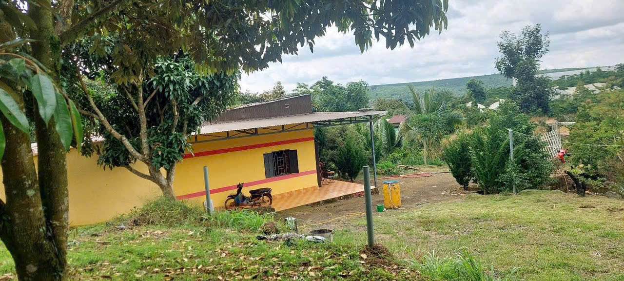 Farm Thôn Tiền Yên, Lộc Đức, Bảo Lâm 14,000m² giá 5.04 tỷ - Khung cảnh thiên nhiên tuyệt đẹp!