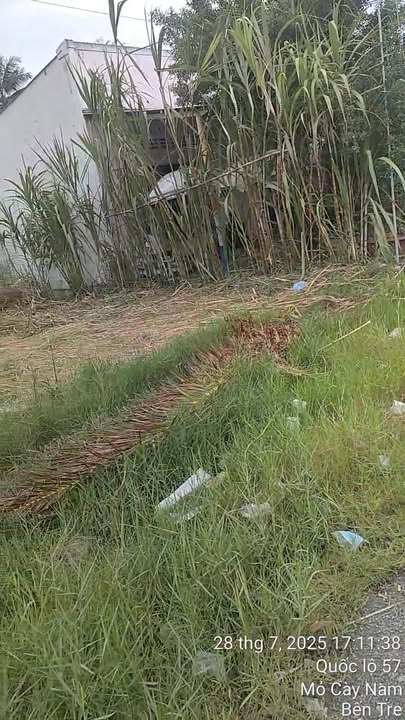 Đất nền Mỏ Cày Nam, Bến Tre 1213.2m² - Cơ hội đầu tư hấp dẫn!