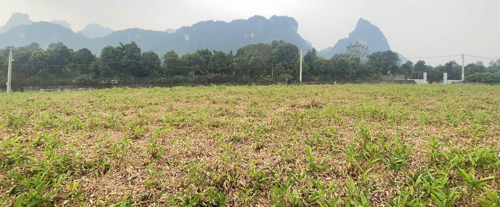 Đất nền 1000m² tại Thành Lập, Lương Sơn giá chỉ 4 tỷ - Pháp lý rõ ràng!