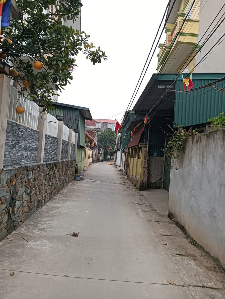 Đất Thư Phú - Thanh Trì 54.8m² giá 2.95 tỷ - Đầu tư sinh lời ngay!