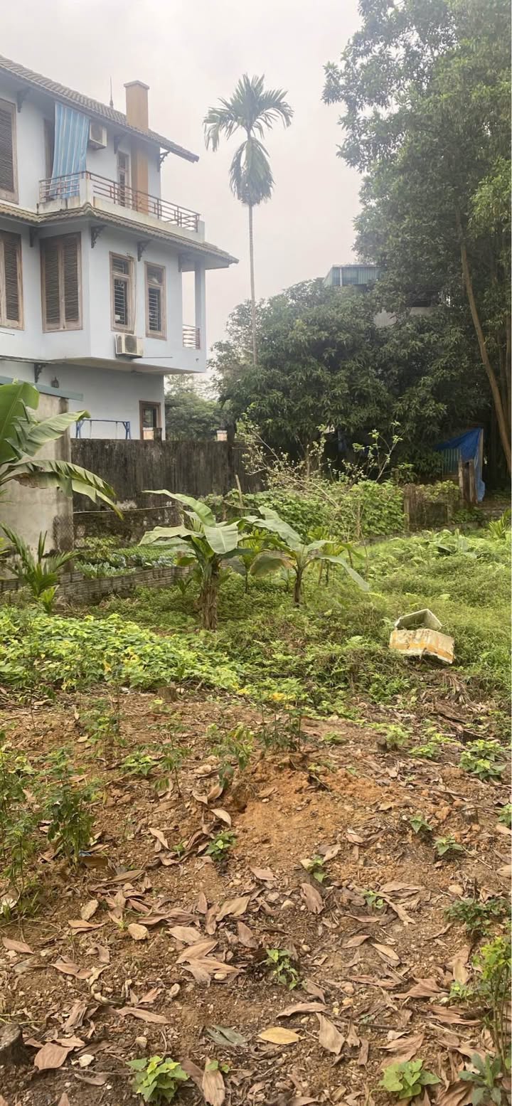 Đất Tân Phát 240m² giá 5 tỷ - Đầu tư quán ăn lý tưởng!