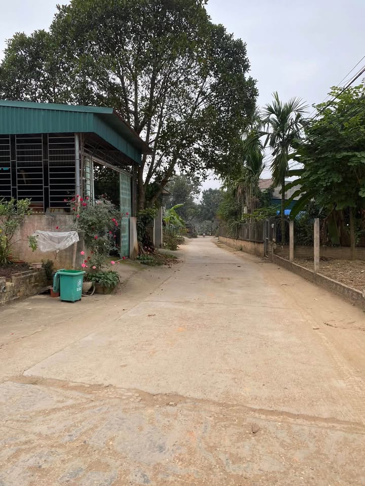 Đất thổ cư Lưỡng Vượng 114m² giá chỉ 90 triệu - Đầu tư sinh lời ngay!