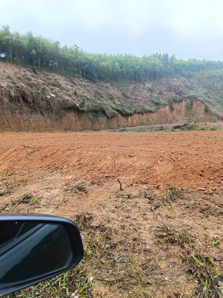 Đất nền 100m² tại Thị trấn Yên Bình giá chỉ 500 triệu - Sẵn sàng sở hữu ngay!