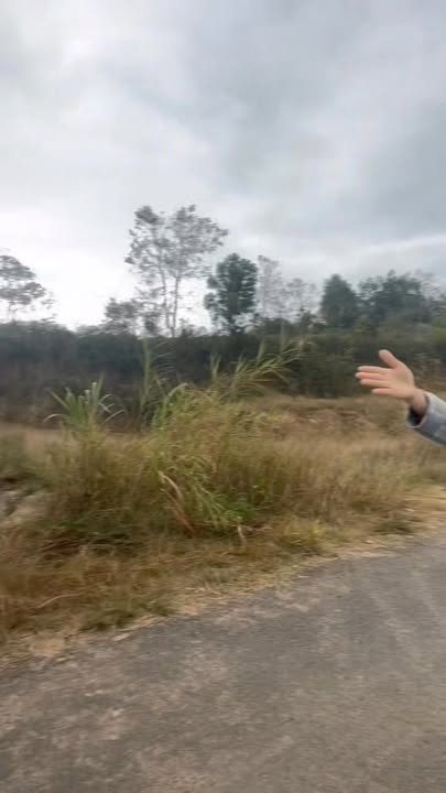 Đất Farm 2HA tại Thôn Thanh Xuân, Đắk Lắk - Giá chỉ 8 tỷ!